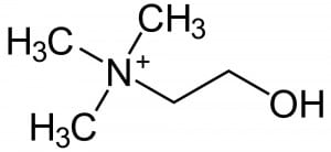 Choline Chemical Symbol