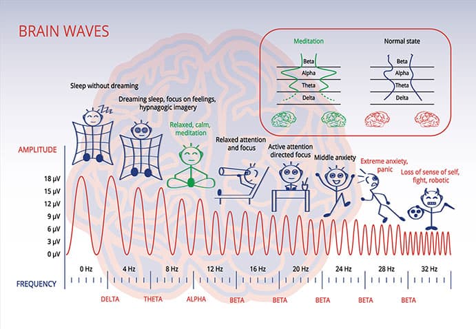 Electromagnetic spectrum of a brain infographic
