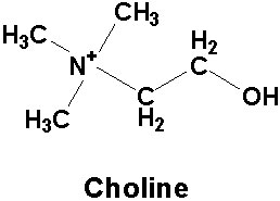 Choline's molecular structure