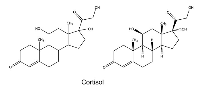 Structural chemical formulas of cortisol