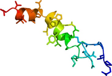 Solution phase NMR structure of orexin